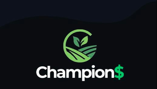 Champions Consultoria