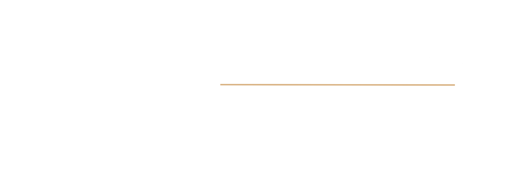 João Otávio de Paiva Ferreira}